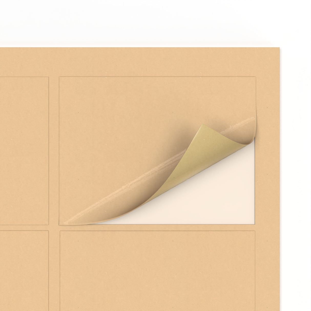 Téglalap alakú öntapadós címkék